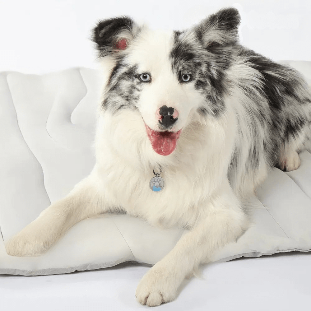 Dog Cooling Mat | Self-Cooling Gel Technology | Perfect for Hot Weather Relief for Dogs 1