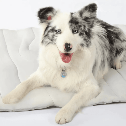 Dog Cooling Mat | Self-Cooling Gel Technology | Perfect for Hot Weather Relief for Dogs 1