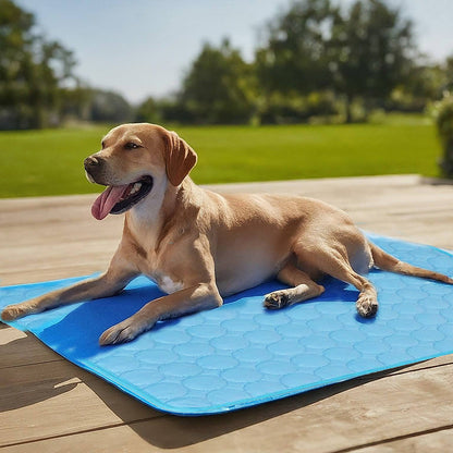 Dog Cooling Mat | Self-Cooling Technology | Ideal For Warm Weather Comfort 2