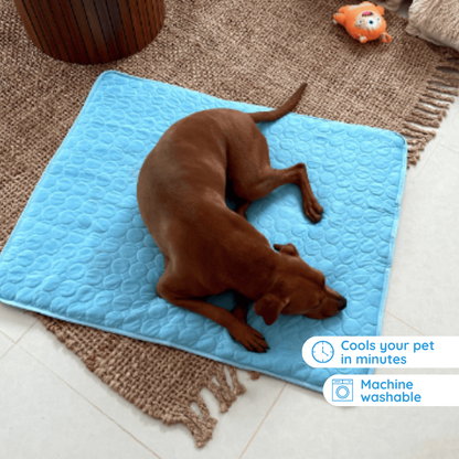 Dog Cooling Mat | Self-Cooling Technology | Ideal For Warm Weather Comfort 3