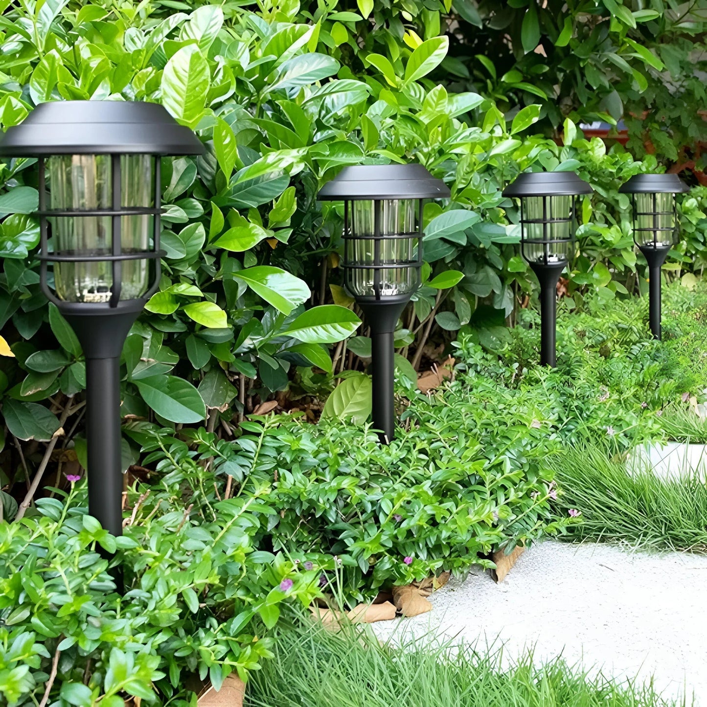 Solar Garden Lights | Weatherproof Design | Solar Lights Outdoor for Garden Ambiance 4