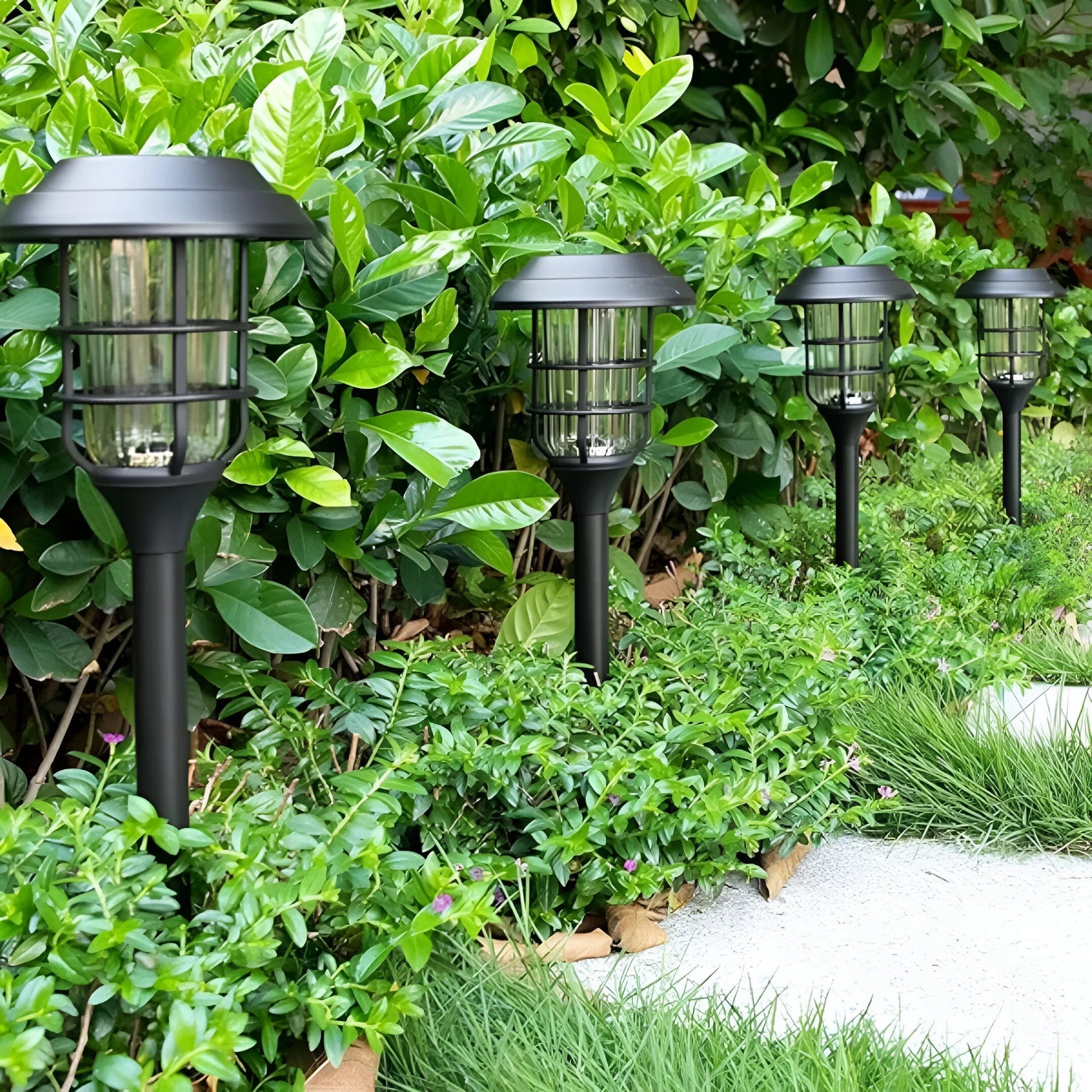 Solar Garden Lights | Weatherproof Design | Solar Lights Outdoor for Garden Ambiance 4