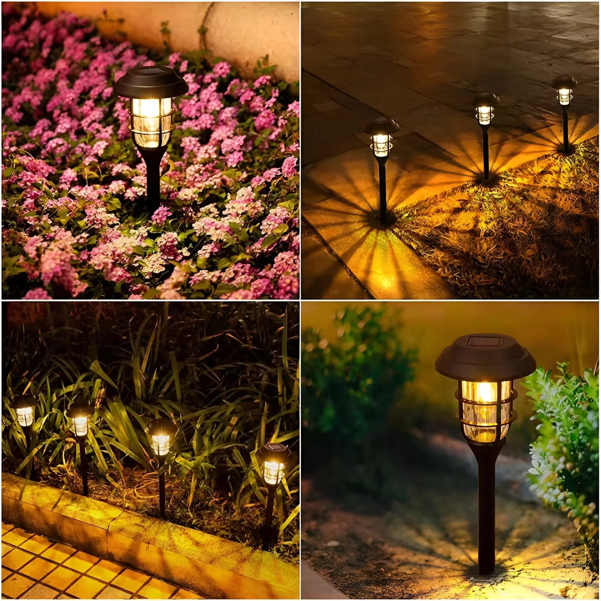 Solar Garden Lights | Weatherproof Design | Solar Lights Outdoor for Garden Ambiance 5